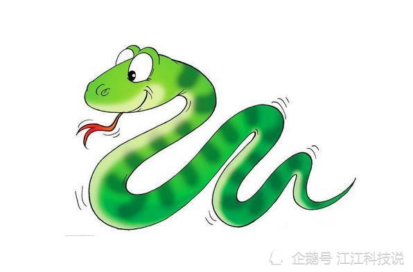 属蛇的名字出现旭字字好吗 属蛇用"旭"字犯冲？揭开姓名学里的千年误会