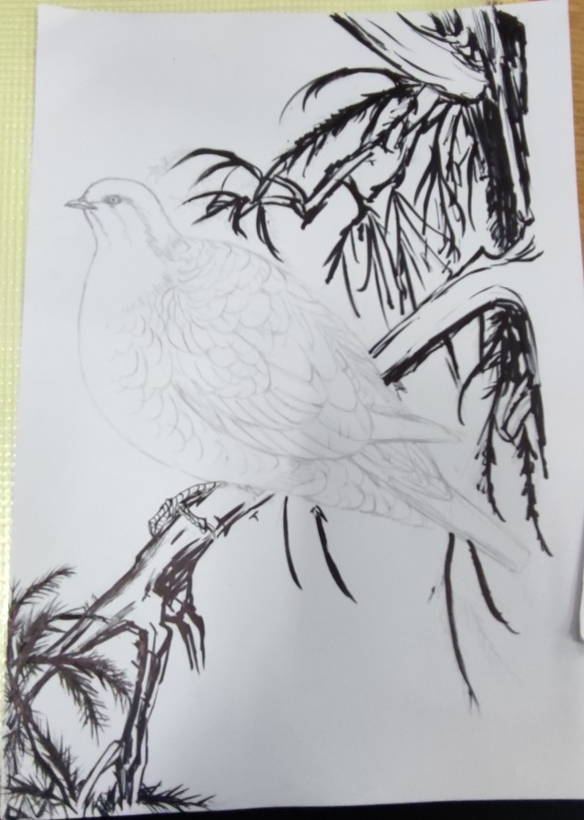花鸟画作业(马克笔)全过程