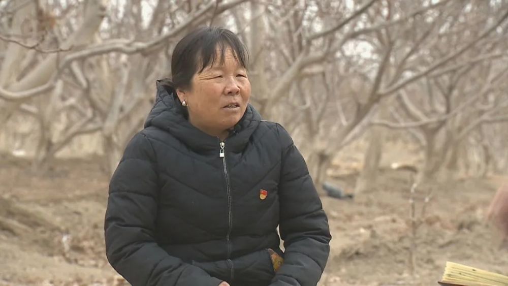 张菊琴:果园里的致富梦