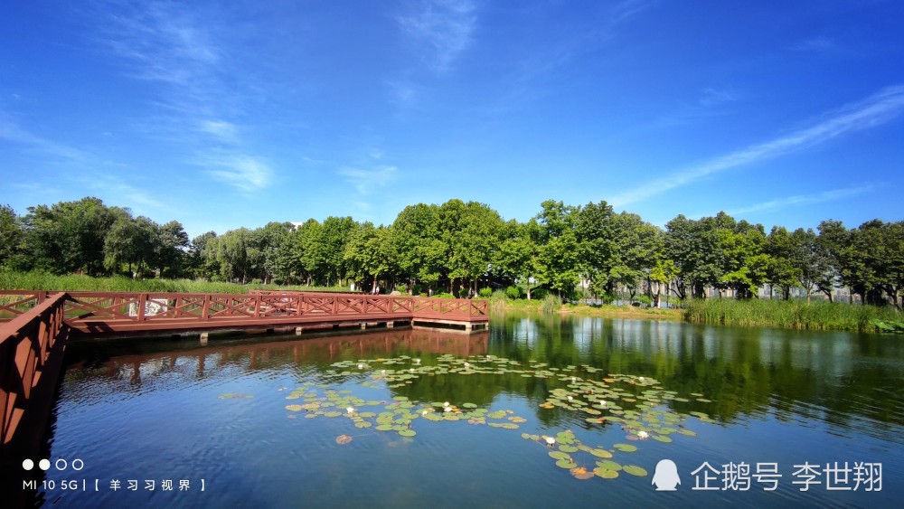 武汉金银湖湿地公园 初夏游人醉于水天一色的美景美色