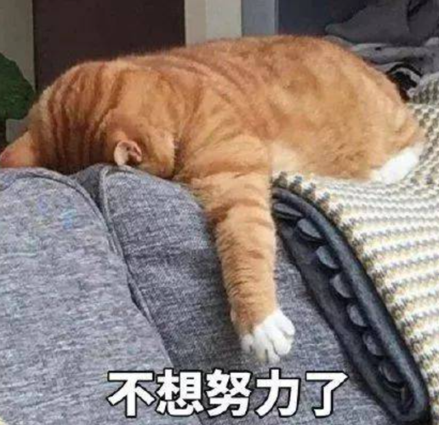 那些被批评无能的"躺平青年"真的该骂吗?是什么造成了