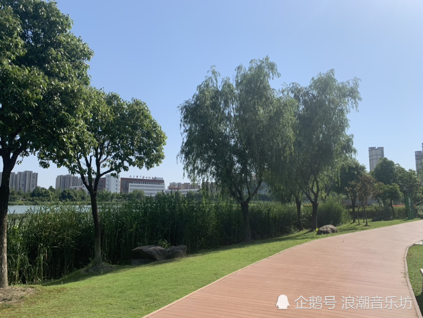 滨江无为市美丽城南公园六月风景