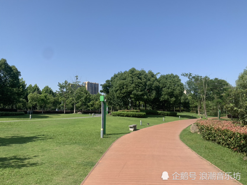 滨江无为市美丽城南公园六月风景