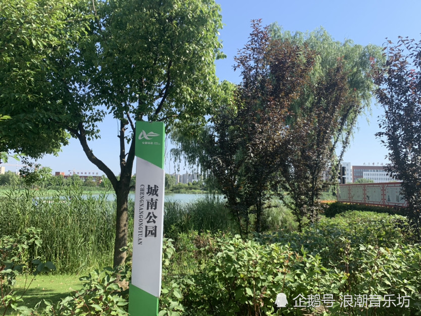 滨江无为市美丽城南公园六月风景