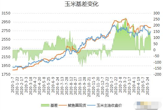 玉米价格下滑,进口多需求弱,期货大幅反弹,未来将何去何从?