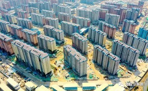 雄安新区|住房|安置房
