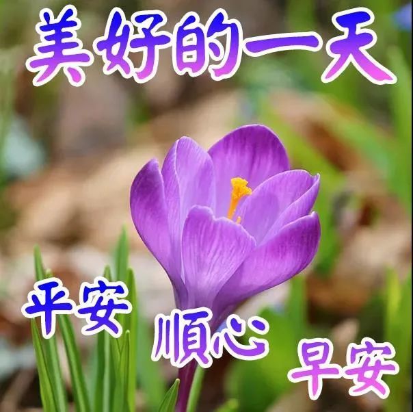 2021年10月22日 早上好问候祝福动态表情图片 最新早安问候语动态图片