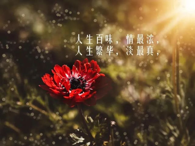 朋友圈走心的心情说说语句 适合发朋友圈的感悟哲理