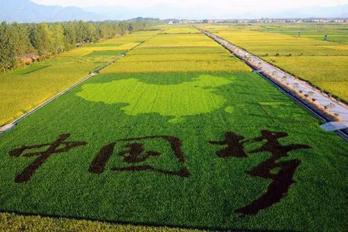 【起床号】6月7日,早安!歌曲《走在小康路上》