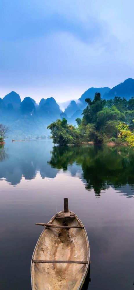 "逆风翻盘,向阳而生"