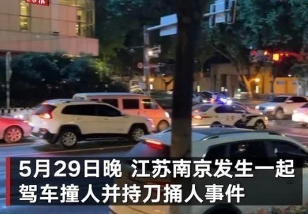 南京驾车撞人事件后续胖哥等10人被认定见义勇为