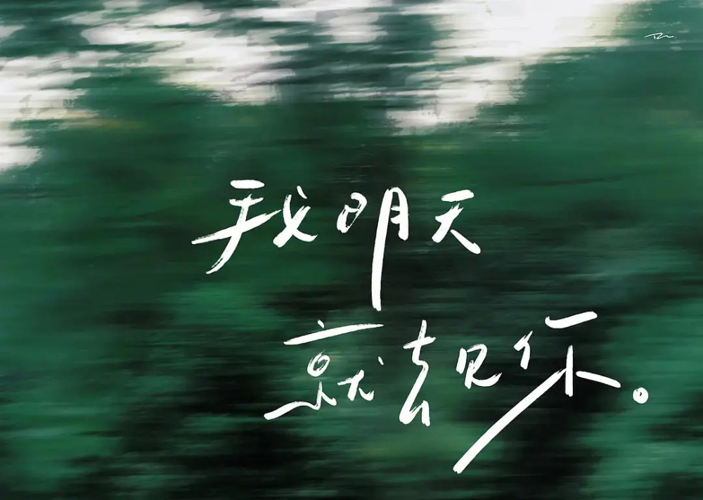 背景图|"祝你夏天快乐"