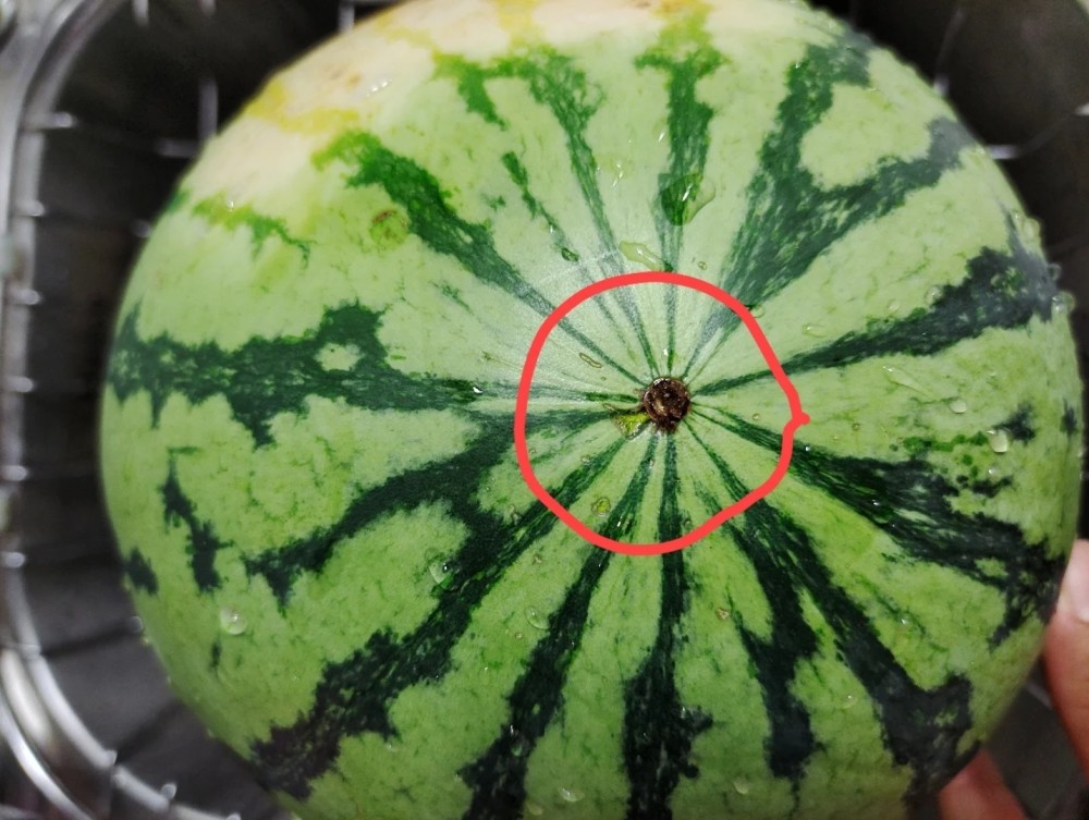 夏天如何挑西瓜?这届网友的方法太优秀了,哈哈哈哈
