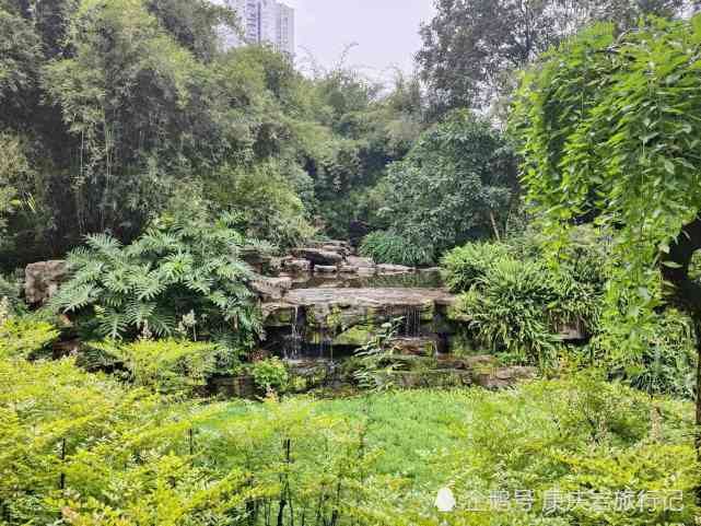 重庆龙头寺公园2