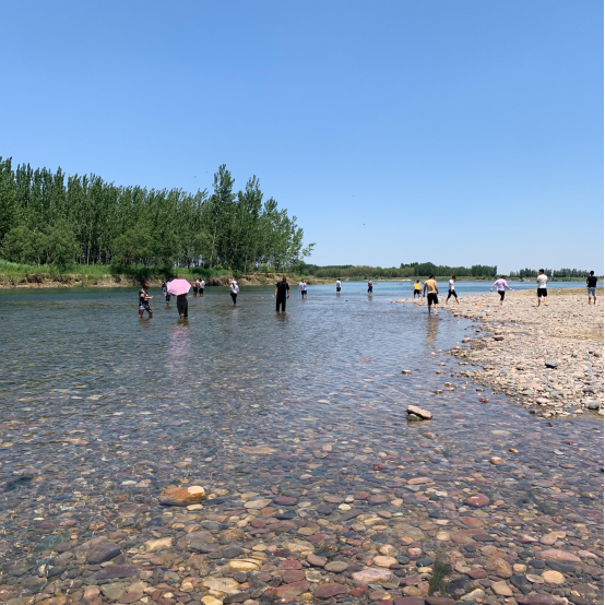 洛阳黄河湿地公园事件后续:相关部门已经积极妥善处理