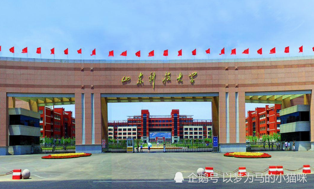 山东科技大学全国排名_山东大学排名威海图片