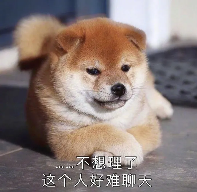 表情包丨我可都记着账呢