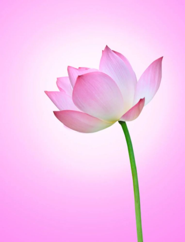 文:知乐 图:网络 音乐歌单: 风潮唱片 - 灵气 archangel uriel