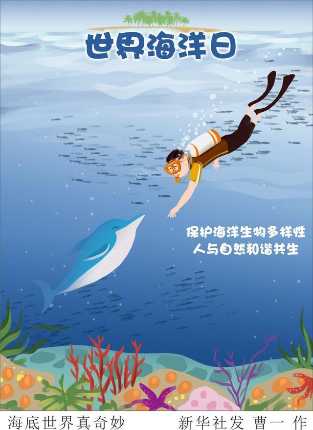 世界海洋日丨保护海洋就是保护自己让我们一起守护每一片蔚蓝