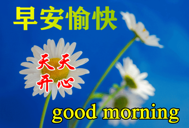 6月26日清晨阳光暖心早安问候语录,早上好图片祝福动态表情