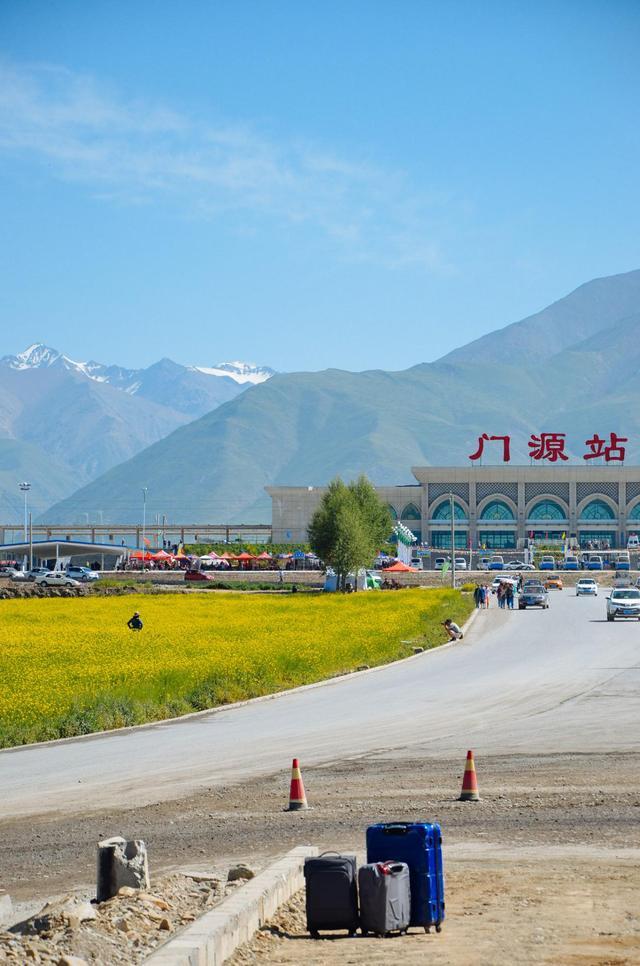 门源油菜花,青海不收门票的景点,在火车站就能看