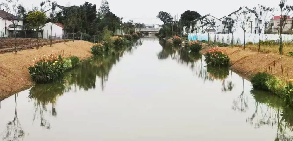 原名蔡桥13号河,经合并更名后为蔡家桥村13号1河,水体总长度约为707米