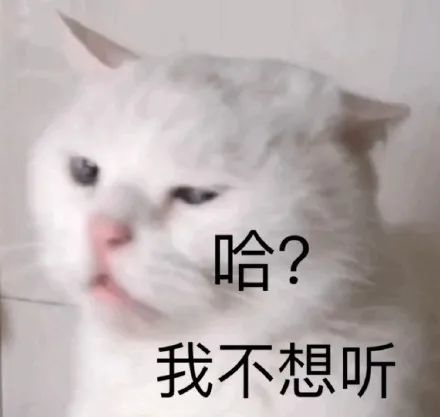 搞笑可耐猫咪表情包无聊没劲不如发呆没什么好玩