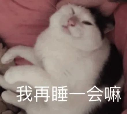 搞笑可耐猫咪表情包,无聊 没劲 不如发呆 没什么好玩