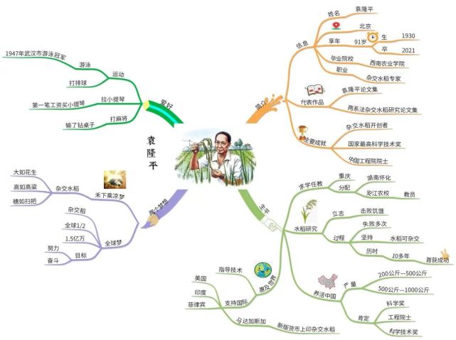 思维导图速读,缅怀袁隆平一生.