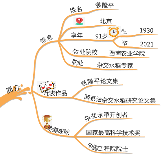 思维导图速读缅怀袁隆平一生