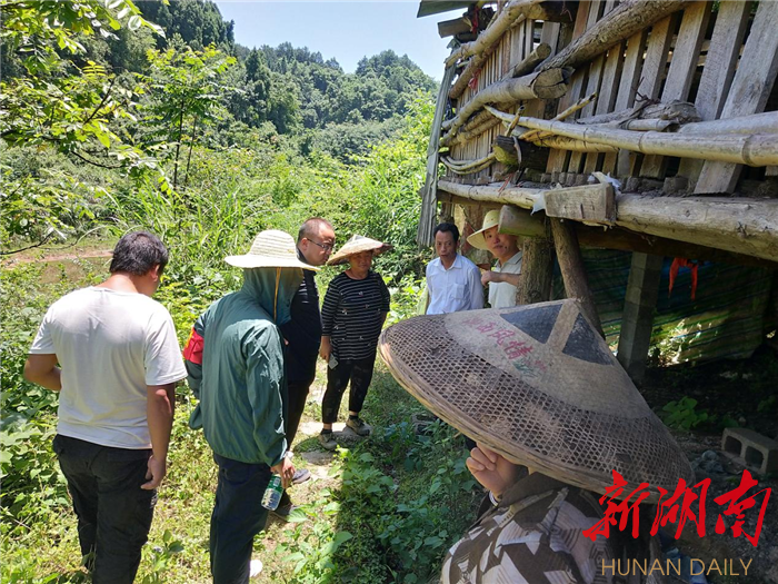 吉首市双塘街道整治高铁沿线违建