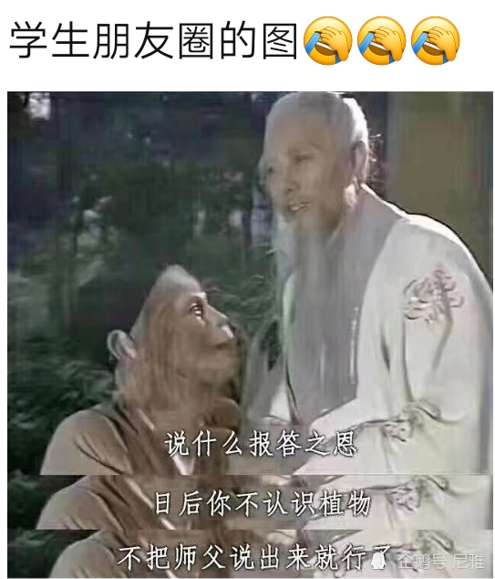 教师节当天"说什么报答之恩,日后你不认识植物,不要把师父说出来就行