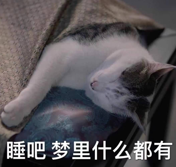 "睡吧,梦里啥都有.