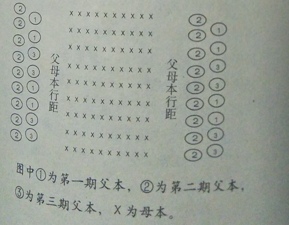 简谱花期_儿歌简谱(3)