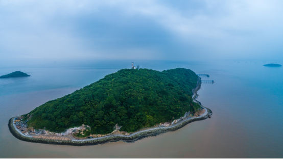 世界海洋日|大金山岛上究竟有啥?金山这里告诉你