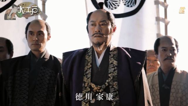 德川家康的存疑,但武田信玄的已经被证实