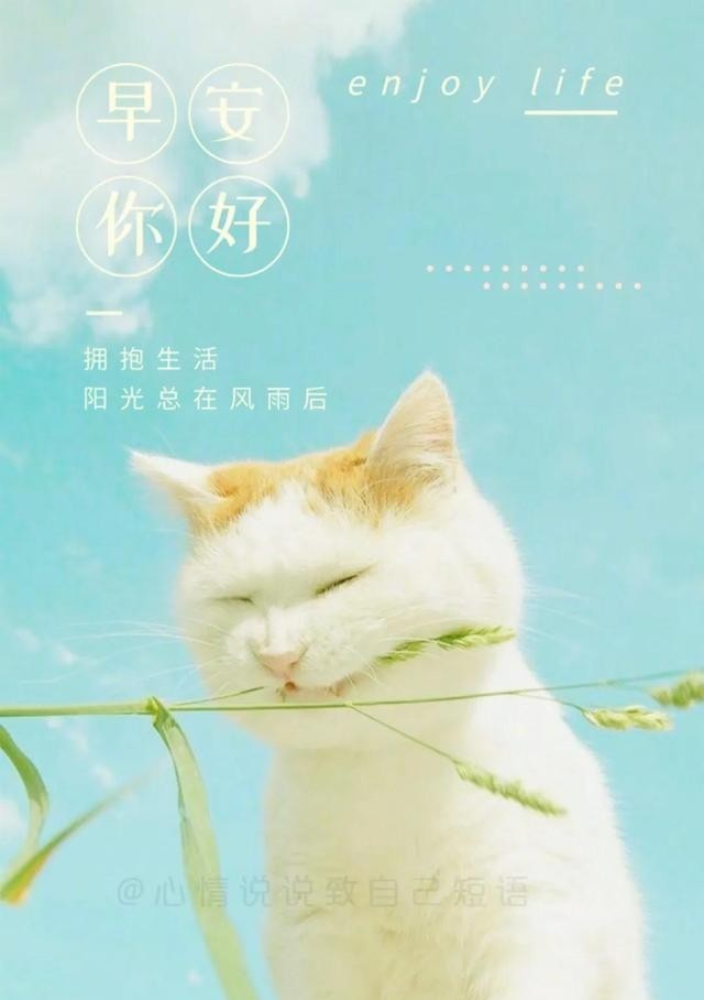 早安心语温暖语句,早安说说图片大全唯美图片