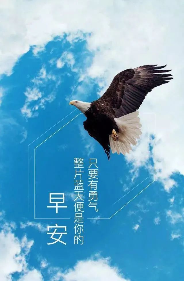 问候早安的正能量说说图片,阳光早上好语录句子