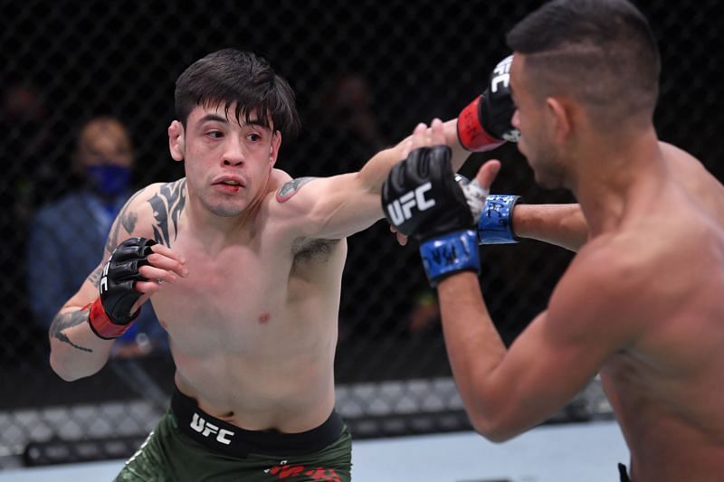 盘点ufc五位排名上升最快选手"狼王"奇马耶夫一年内提升134名_腾讯