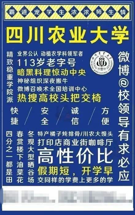 四川高校招聘_国网四川电力22年高校毕业生招聘统一面试公告 第一批(3)