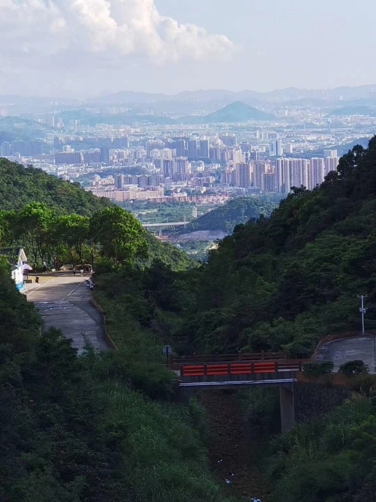 东莞清溪银瓶山森林公园山顶上有一个天池,今天带你们去看看啦