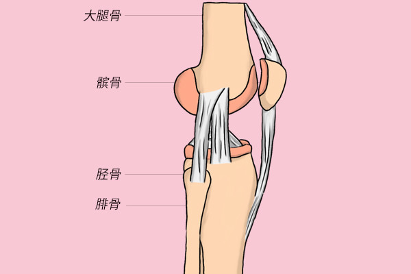 爬楼梯,蹲下时膝盖总是疼痛不适,是在家歇着好?还是运动好?