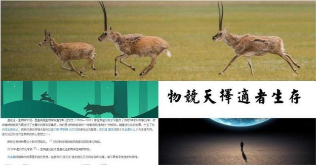 错换人生,许敏姚师兵一家背负巨额债务?真相的背后是一场游戏!