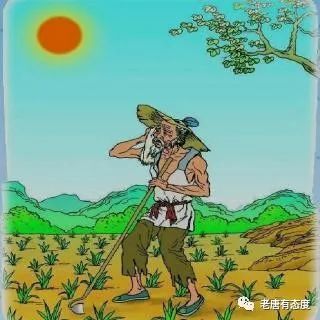 骗了你一千多年的《悯农》诗人