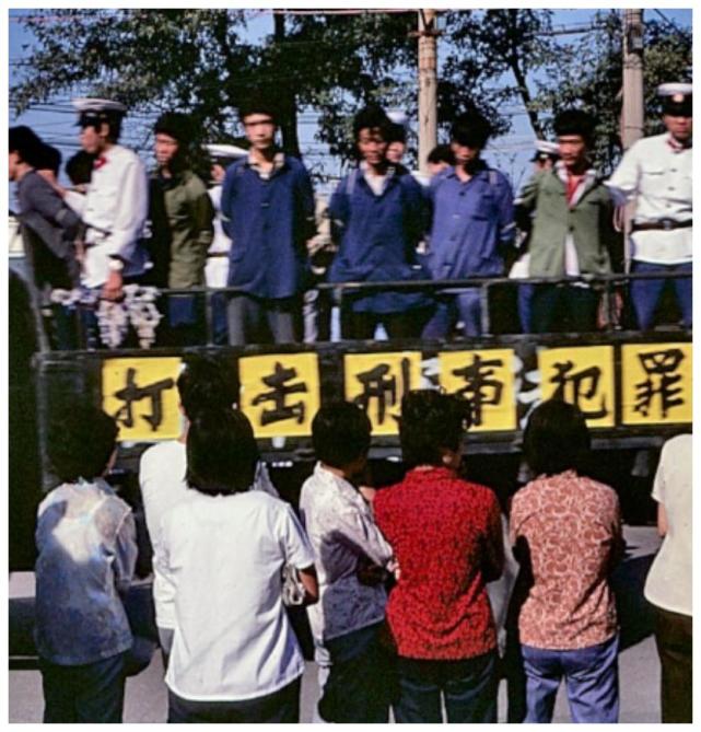 "最美死刑犯"任雪:死前突然张嘴,众人不解,只有行刑