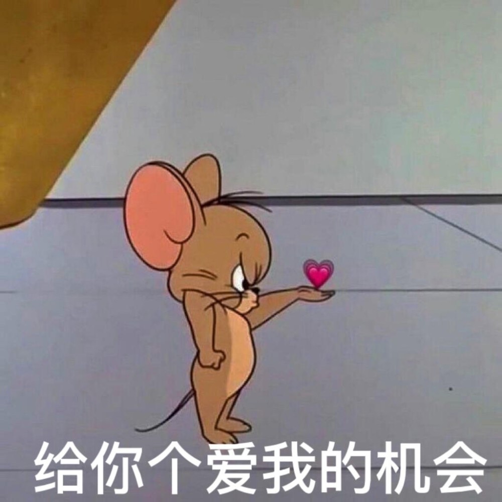 表情包丨猫和老鼠憨憨可爱沙雕合集