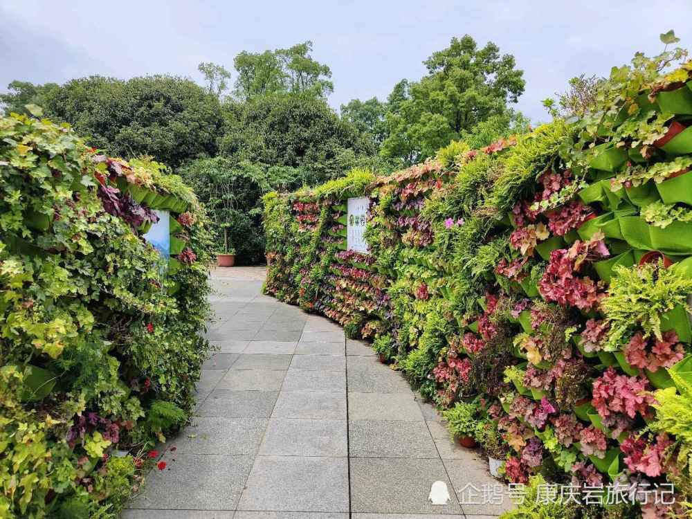 重庆南山植物园1