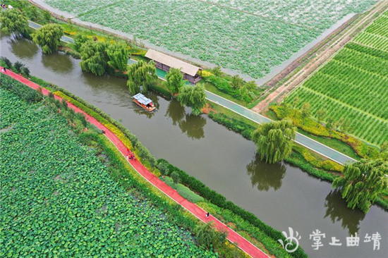 夏日麒麟水乡马本跃