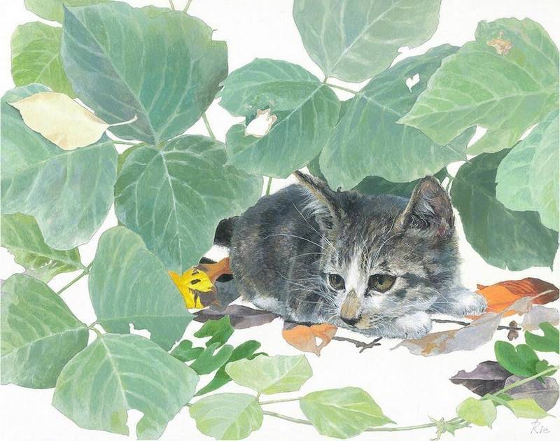 复古画风日本画家松江利恵的水彩猫咪绘画676767