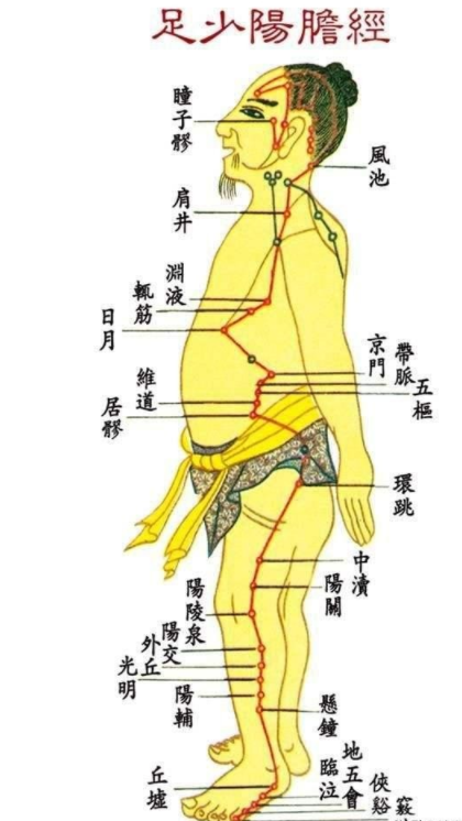 胆经一通,万病无踪!1套真人胆经操,5分钟学会,早敲胆经,早治病症!